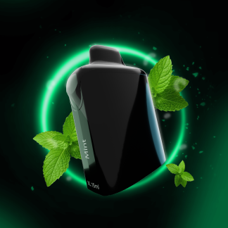 Bewolk XL Flavour Pods Mint