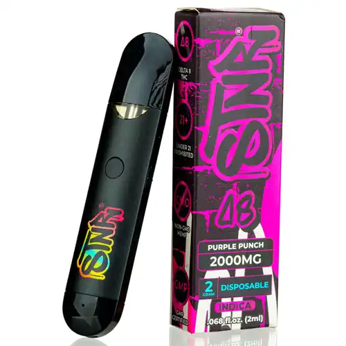 STNR Creations 2000MG D8 Disposable