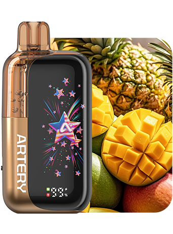 Artery 45K Disposable Vape 50mg - 45000 Puff Dual Mesh Coils CT3