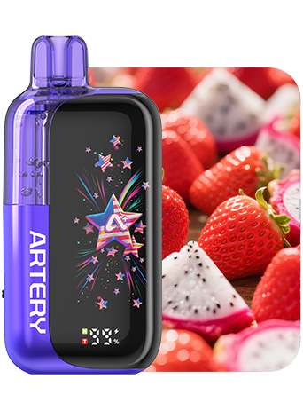 Artery 45K Disposable Vape 50mg - 45000 Puff Dual Mesh Coils CT3