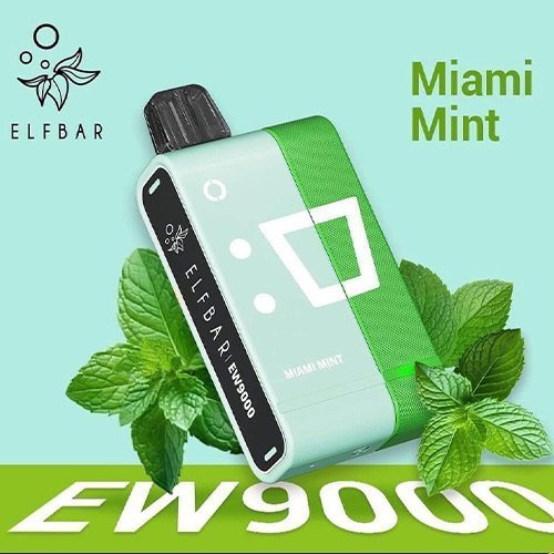 Elf Bar EW9000 Smart Kit