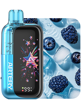 Artery 45K Disposable Vape 50mg - 45000 Puff Dual Mesh Coils CT3