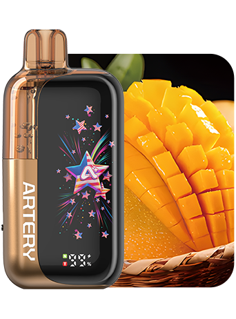 Artery 45K Disposable Vape 50mg - 45000 Puff Dual Mesh Coils CT3