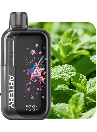 Artery 45K Disposable Vape 50mg - 45000 Puff Dual Mesh Coils CT3