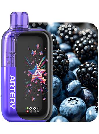 Artery 45K Disposable Vape 50mg - 45000 Puff Dual Mesh Coils CT3