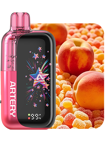 Artery 45K Disposable Vape 50mg - 45000 Puff Dual Mesh Coils CT3